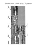 METHOD FOR SELECTING FRAMES FROM VIDEO SEQUENCES BASED ON INCREMENTAL     IMPROVEMENT diagram and image