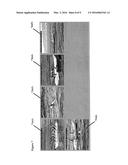 METHOD FOR SELECTING FRAMES FROM VIDEO SEQUENCES BASED ON INCREMENTAL     IMPROVEMENT diagram and image