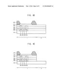 ORGANIC LIGHT EMITTING DISPLAY DEVICE diagram and image