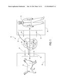 Assisted Animal Activities diagram and image