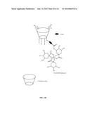 ANTIMICROBIAL COMPOUNDS AND COMPOSITIONS, AND USES THEREOF diagram and image