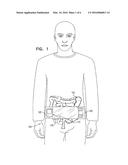 POSITION ESTIMATION OF IMAGING CAPSULE IN GASTROINTESTINAL TRACT diagram and image