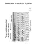 PHOTO-CHEMICALLY ACTIVATED MICRO-BUBBLE BASED ROOT CANAL DISINFECTION diagram and image