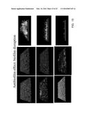 PHOTO-CHEMICALLY ACTIVATED MICRO-BUBBLE BASED ROOT CANAL DISINFECTION diagram and image