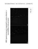 PHOTO-CHEMICALLY ACTIVATED MICRO-BUBBLE BASED ROOT CANAL DISINFECTION diagram and image