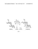 INJECTABLE NANO-NETWORK GELS FOR DIABETES TREATMENT diagram and image