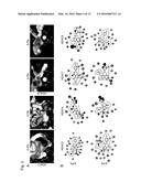 PHARMACEUTICAL COMPOSITION diagram and image