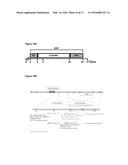 NEW DRUG FOR THE TREATMENT AND/OR PREVENTION OF DEPRESSIVE DISORDERS diagram and image