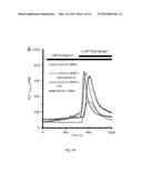 SERCA INHIBITOR AND CALMODULIN ANTAGONIST COMBINATION diagram and image