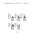 USE OF GINSENOSIDE F2 FOR PROPHYLAXIS AND TREATMENT OF LIVER DISEASE diagram and image