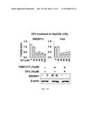 USE OF GINSENOSIDE F2 FOR PROPHYLAXIS AND TREATMENT OF LIVER DISEASE diagram and image