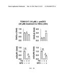 USE OF GINSENOSIDE F2 FOR PROPHYLAXIS AND TREATMENT OF LIVER DISEASE diagram and image