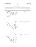 Compositions and Methods for Joint Health diagram and image