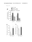 ANTAGONISM OF ABCG4, LYN KINASE, AND C-CBL E3 LIGASE TO INCREASE PLATELET     COUNT AS THERAPY FOR THROMBOCYTOPENIA diagram and image