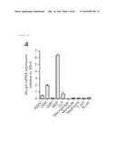 ANTAGONISM OF ABCG4, LYN KINASE, AND C-CBL E3 LIGASE TO INCREASE PLATELET     COUNT AS THERAPY FOR THROMBOCYTOPENIA diagram and image