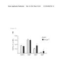 ANTAGONISM OF ABCG4, LYN KINASE, AND C-CBL E3 LIGASE TO INCREASE PLATELET     COUNT AS THERAPY FOR THROMBOCYTOPENIA diagram and image