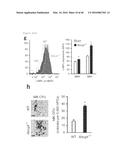 ANTAGONISM OF ABCG4, LYN KINASE, AND C-CBL E3 LIGASE TO INCREASE PLATELET     COUNT AS THERAPY FOR THROMBOCYTOPENIA diagram and image