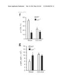 ANTAGONISM OF ABCG4, LYN KINASE, AND C-CBL E3 LIGASE TO INCREASE PLATELET     COUNT AS THERAPY FOR THROMBOCYTOPENIA diagram and image