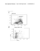 ANTAGONISM OF ABCG4, LYN KINASE, AND C-CBL E3 LIGASE TO INCREASE PLATELET     COUNT AS THERAPY FOR THROMBOCYTOPENIA diagram and image