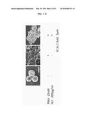 INHIBITOR OF EXTRACELLULAR TRAP FORMATION IN LEUKOCYTES diagram and image