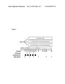 METHOD FOR IMPROVING THE EFFICACY OF A SURVIVIN VACCINE IN THE TREATMENT     OF CANCER diagram and image