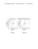 TUMOR SPECIFIC ANITBODY CONJUGATES AND USES THEREFOR diagram and image