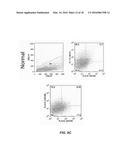 TUMOR SPECIFIC ANITBODY CONJUGATES AND USES THEREFOR diagram and image