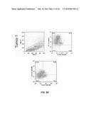 TUMOR SPECIFIC ANITBODY CONJUGATES AND USES THEREFOR diagram and image