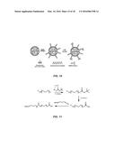 TUMOR SPECIFIC ANITBODY CONJUGATES AND USES THEREFOR diagram and image