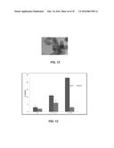 TUMOR SPECIFIC ANITBODY CONJUGATES AND USES THEREFOR diagram and image