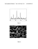 Osteoinductive Calcium Phosphates diagram and image