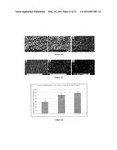 Osteoinductive Calcium Phosphates diagram and image