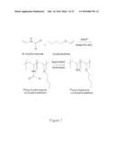 STIMULUS RESPONSIVE POLYMERS FOR THE PURIFICATION OF BIOMOLECULES diagram and image