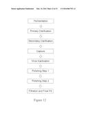 STIMULUS RESPONSIVE POLYMERS FOR THE PURIFICATION OF BIOMOLECULES diagram and image