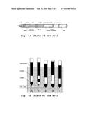 Electromagnetic drive and method of production thereof diagram and image