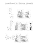 COMBRETASTATIN ANALOGS diagram and image