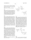 3-(1H-BENZO[D]IMIDAZOL-2-YL)-1H-PYRAZOLO[3,4-C]PYRIDINE AND THERAPEUTIC     USES THEREOF diagram and image