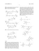 IMMUNOMODULATORS AND IMMUNOMODULATOR CONJUGATES diagram and image