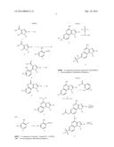 IMMUNOMODULATORS AND IMMUNOMODULATOR CONJUGATES diagram and image