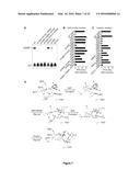 COMPOSITIONS AND METHODS FOR ALTERING SECOND MESSENGER SIGNALING diagram and image