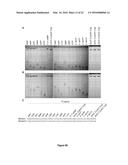 COMPOSITIONS AND METHODS FOR ALTERING SECOND MESSENGER SIGNALING diagram and image