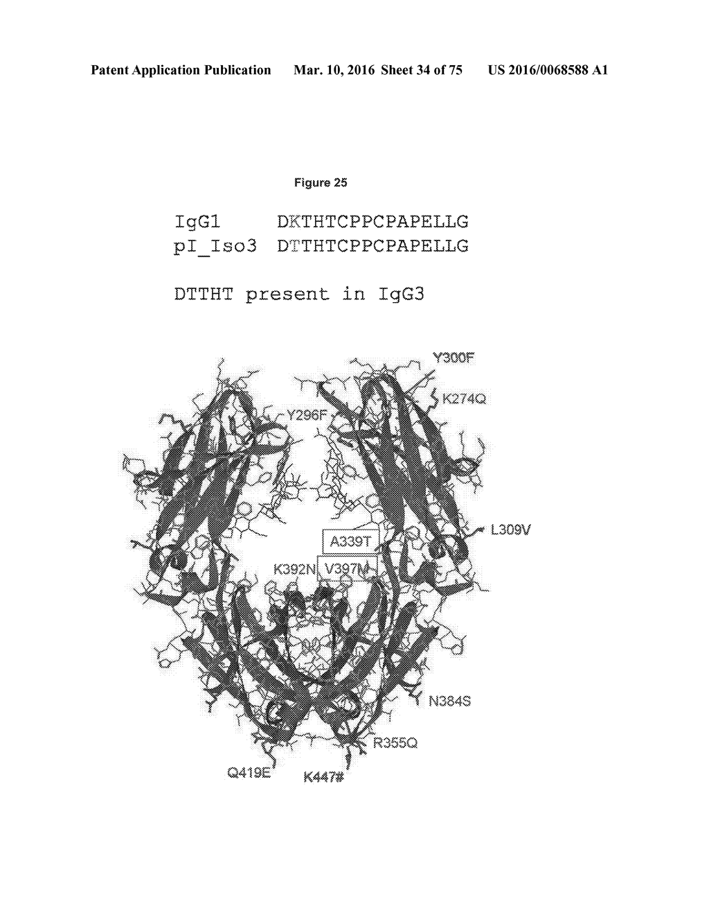 ANTIBODIES WITH MODIFIED ISOELECTRIC POINTS AND IMMUNOFILTERING - diagram, schematic, and image 35