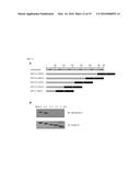 C5 ANTIBODY AND METHOD FOR PREVENTING AND TREATING COMPLEMENT-RELATED     DISEASES diagram and image