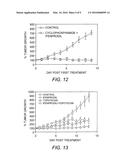 METHOD FOR TREATING NEUROENDOCRINE CANCER diagram and image