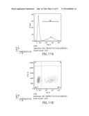 TREATMENT OF CANCER USING A CD123 CHIMERIC ANTIGEN RECEPTOR diagram and image