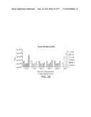 TREATMENT OF CANCER USING A CD123 CHIMERIC ANTIGEN RECEPTOR diagram and image