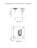 TREATMENT OF CANCER USING A CD123 CHIMERIC ANTIGEN RECEPTOR diagram and image