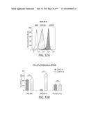 TREATMENT OF CANCER USING A CD123 CHIMERIC ANTIGEN RECEPTOR diagram and image