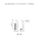 TREATMENT OF CANCER USING A CD123 CHIMERIC ANTIGEN RECEPTOR diagram and image