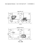 TREATMENT OF CANCER USING A CD123 CHIMERIC ANTIGEN RECEPTOR diagram and image